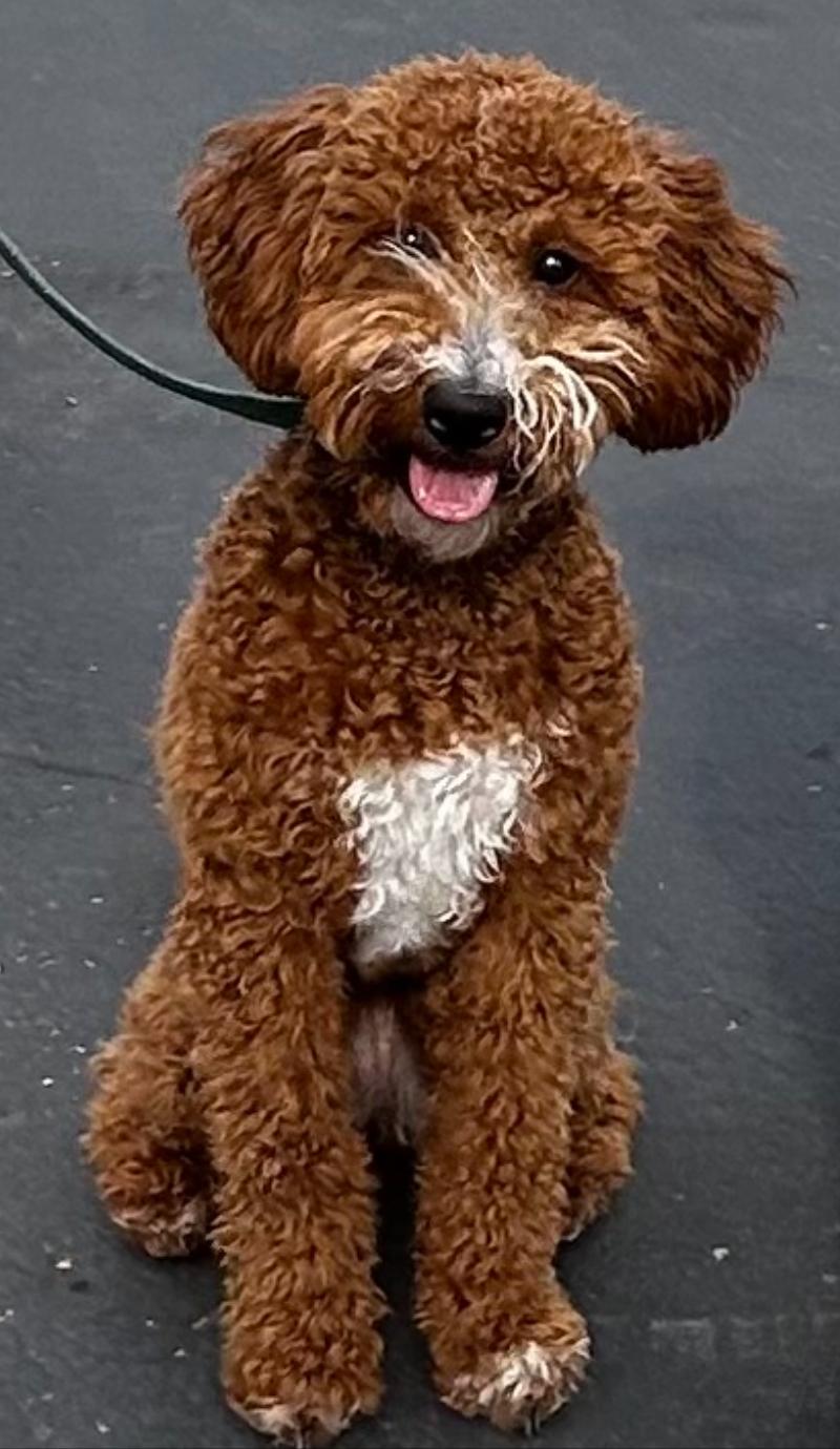 Zoey