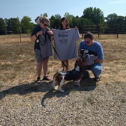 Basset Hound Puppies from Redbud Ranch Basset Hounds