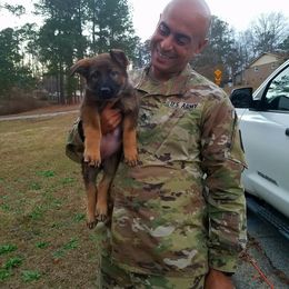 German Shepherd Puppies from Guamany K9 Vomhaus