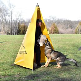 Bongo - German Shepherd