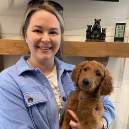 Goldendoodle Puppies from FurEver Friends Doodles