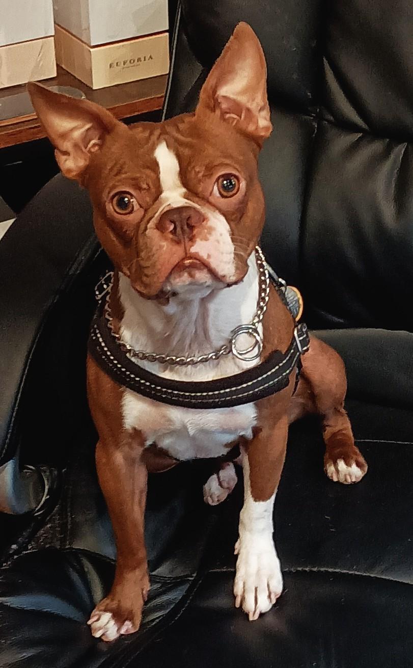 Dex (aka. Dex, the King of Azzhats)