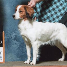Nederlandse Kooikerhondjes from Winsome