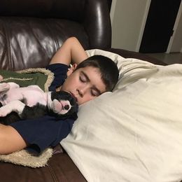 Boxer Puppies from Quinney’s Boxers