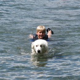 Great Pyrenees Puppies from Heritage Mountain Ranch