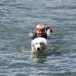 Great Pyrenees Puppies from Heritage Mountain Ranch