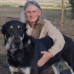 Zana - Turkish Boz Shepherd