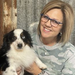 Capone - Miniature Australian Shepherd