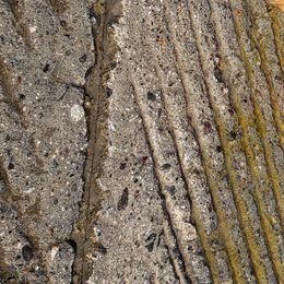 German Shepherds from Warhammer German Shepherds