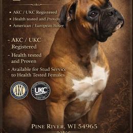 Lugnut - Boxer