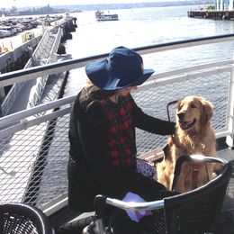 Golden Retriever Puppies from TC's Golden Ranch