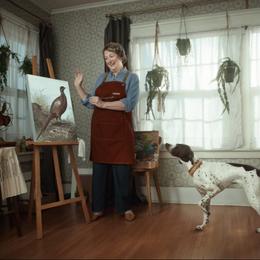 German Shorthaired Pointer All Grown Up from DragonPoint Gun Dogs