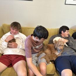 Labradoodle Puppies from California Double Doodles