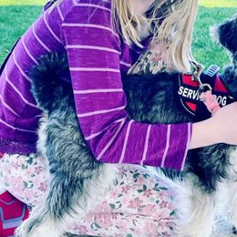 Wren - Miniature Schnauzer