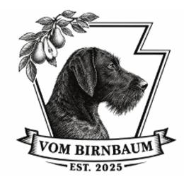Deutsch-Drahthaars from Deutsch Drahthaars vom Birnbaum