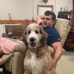 Bernedoodle All Grown Up from Backwoods Bernedoodles