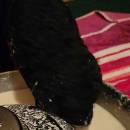 Poodle Puppies from Sue's Poodles and Doodles