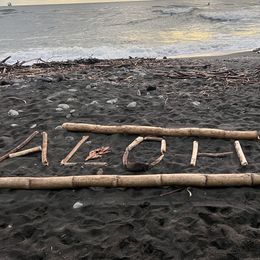 Miniature Australian Shepherds from Akamai Miniature Australian Shepherds