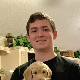 Goldendoodle Puppies from Cooley Doodles