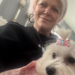 Maltese, Morkies, Poodles, Yorkipoos, and Yorkshire Terriers from Amy's puppy Love
