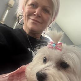 Maltese, Morkies, Poodles, Yorkipoos, and Yorkshire Terriers from Amy's puppy Love