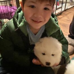 Samoyed Puppies from Cascade Samoyeds