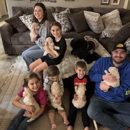 Girl 2 - White female Poodle puppy in Modesto, California from Savicah Poodles