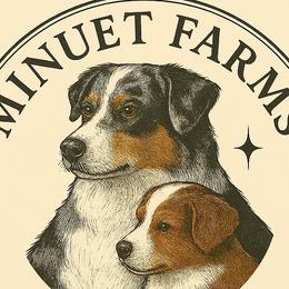 Australian Shepherds from Minuet Australian Shepherds