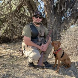 Vizsla Puppies from Reckless Rose Vizslas