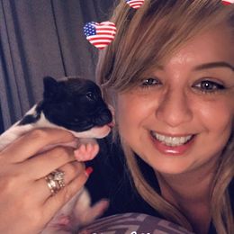 French Bulldog Puppies from Bouledogue Royal