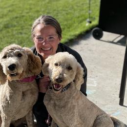 Poodles from Dayton Farms
