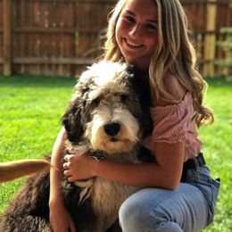 Aussiedoodles and Bernedoodles from La Di Da Doodles