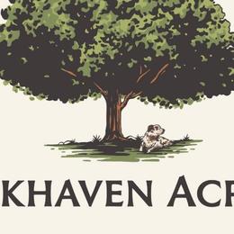 Australian Shepherds from OakHaven Acres Aussies