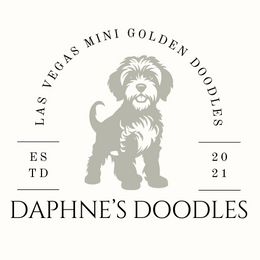 Goldendoodles from Las Vegas Doodles