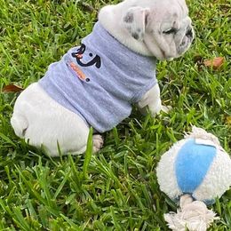 Bulldogs from Mary Grider