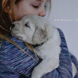 Boy (Reservation 5) - Golden male Golden Retriever puppy in Murfreesboro, Tennessee from ATW Retrievers