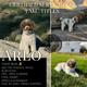 Arlo