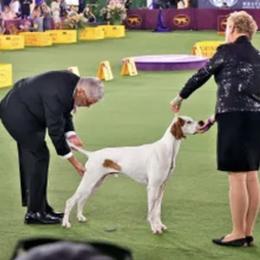 Pointer Puppies from Playlist Pointers