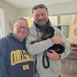 Orange Girl - Black and mahogany female Rottweiler puppy in Lebanon, Oregon from SOUTH SANTIAM ROTTWEILERS