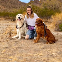 Golden Retriever Puppies from Top Gun Golden Retrievers
