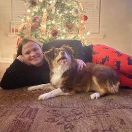 Miniature American Shepherd and Miniature Australian Shepherd All Grown Up from Sweetbay Aussies/ Miniature American Shepherds