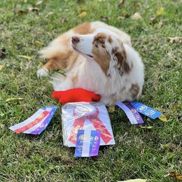 Australian Shepherds from Somerset Australian Shepherds