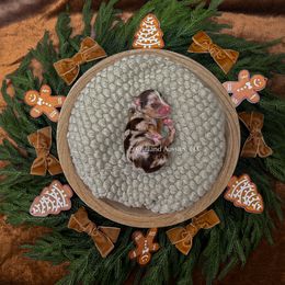 Boston - RMM - Red merle male Miniature Australian Shepherd puppy in Oklahoma City, Oklahoma from Outland Toy & Mini Aussies