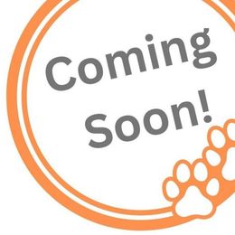 Lucky Charms - Black red and white female Beagle puppy in Rose Bud, Arkansas from Rajun Cajun Kennels