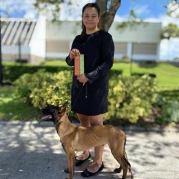 Belgian Malinois and German Shepherds from vd Hunde der neuen Äre