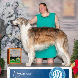 Relic - Borzoi