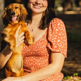 Dachshunds from Sweet Heaven Dachshunds