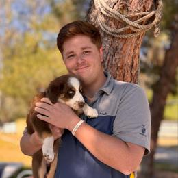 Brees (Biscuit Jr.) - Red tri-color male Australian Shepherd puppy in Ramona, California from Blue Moon Aussies
