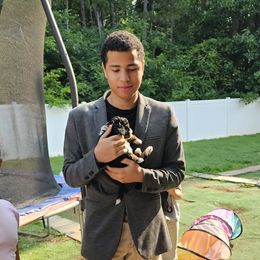 Bernedoodle Puppies from So Adoodable