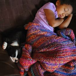 Boston Terrier Puppies from The Christian Bostons